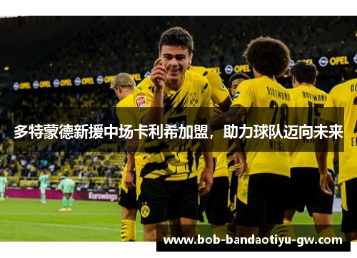 多特蒙德新援中场卡利希加盟，助力球队迈向未来