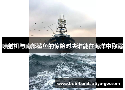 喷射机与南部鲨鱼的惊险对决谁能在海洋中称霸